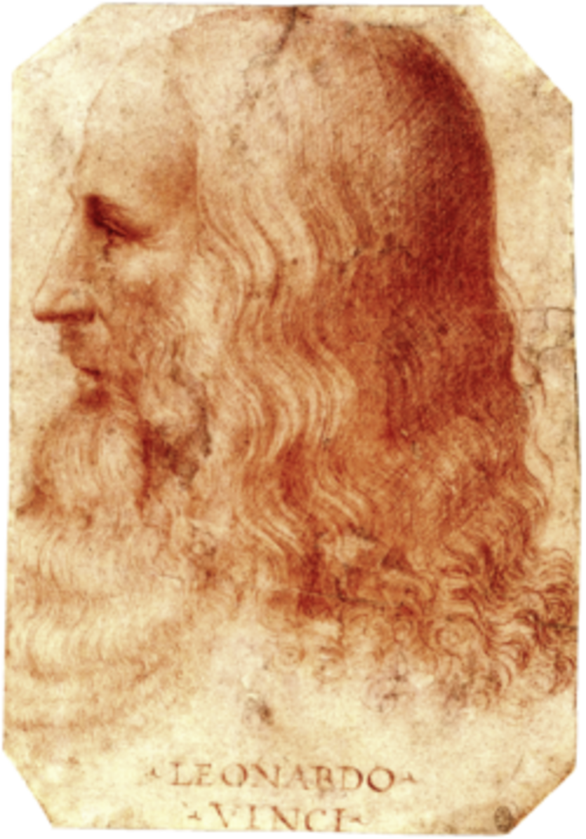 Red-chalk portrait of Leonardo da Vinci in profile, showing an older man with long hair and a flowing beard.